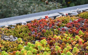 the cost of Nunney Catch green roof installation
