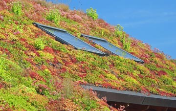 Nunney Catch living roof systems