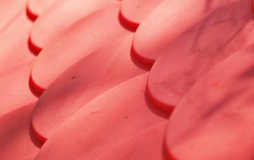 Nunney Catch plastic roof costs